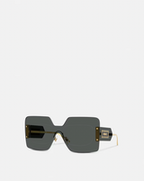 Damier Plaque Squared Shield Sunglasses