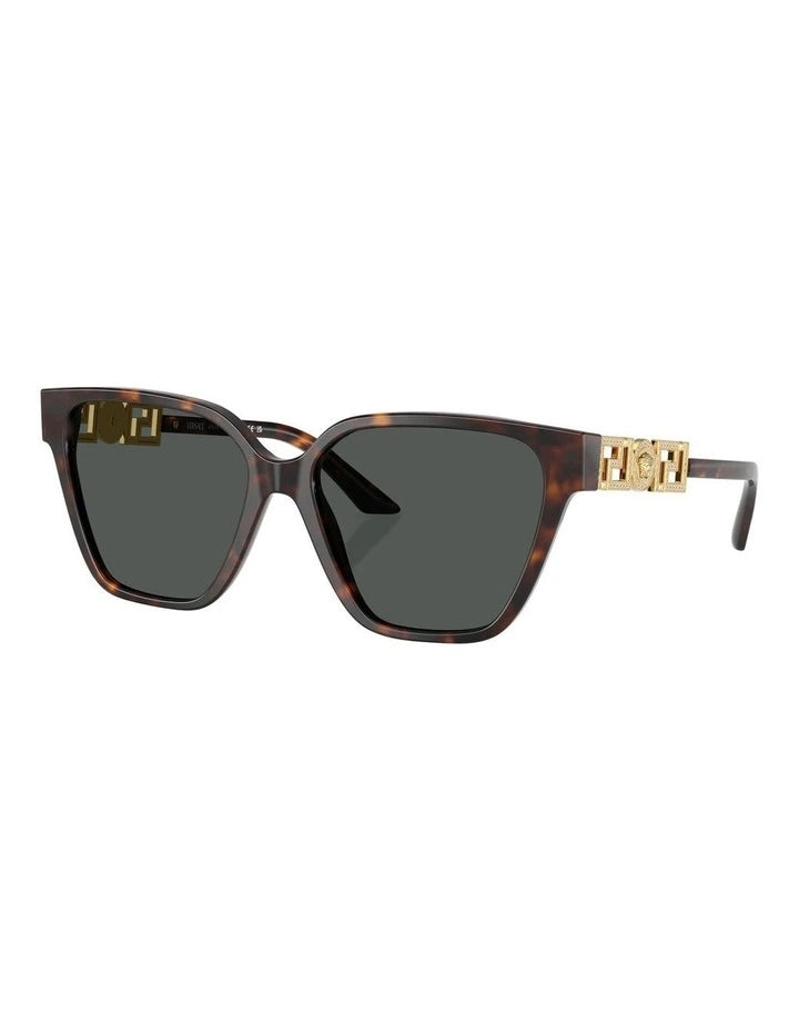 Sunglasses with Gold Dimonte Greca in Havana