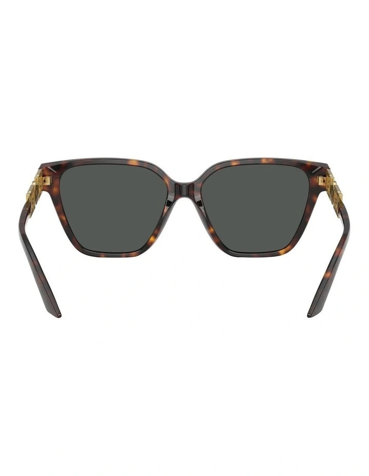 Sunglasses with Gold Dimonte Greca in Havana
