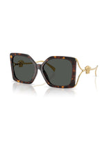 Square Havana Sunglasses with Gold Medusa