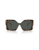 Square Havana Sunglasses with Gold Medusa