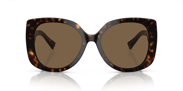 Havana Brown Sunglasses