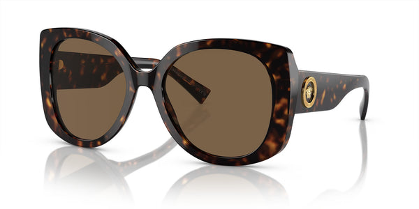 Havana Brown Sunglasses