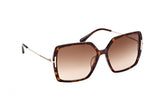 Joanna Sunglass Brown Tortoise Shell