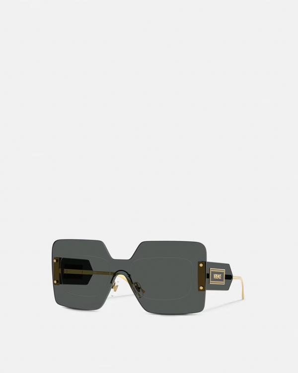 Damier Plaque Squared Shield Sunglasses