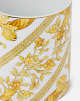 Medusa Rhapsody Vase - 18cm