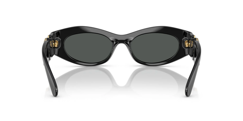 Black Rounded Biggie Sunglasses