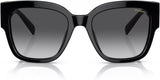 Black Polarised Sunglasses with Grey Gradient