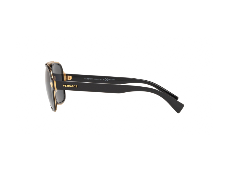 Black Polarized Sunglasses